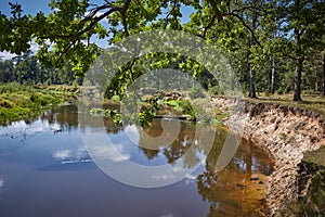 Scenic landscape with calm river and green vegetation