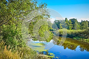 Scenic landscape with calm river and green vegetation