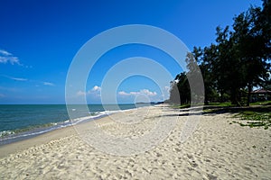 Scenic landscape of calm sea wave on white sandy beach with green tree line shade and clear blue sky background