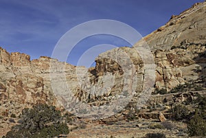 Scenic Landscape in Capitol Reef National Park Utah