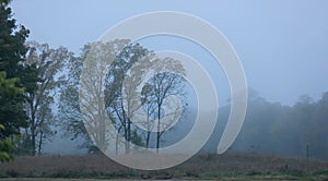 Scenic landscape caught in morning fog