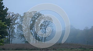 Scenic landscape caught in morning fog photo