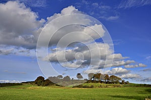 Scenic Landscape with Clouds and Trees of West Central Scotland