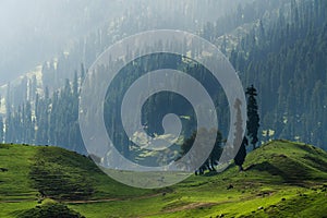 Scenic landscape countryside of Sonamarg, Jammu and Kashmir, India