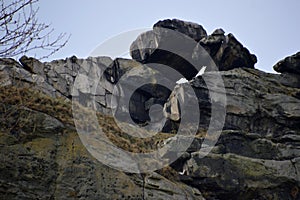 Scenic Landscape at the Devils Wall in Spring, Saxony- Anhalt