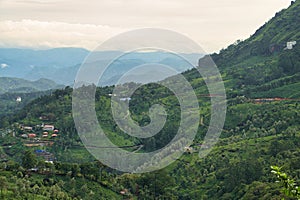 Scenic landscape featuring a lush forested mountain range surrounded by a cloudy sky