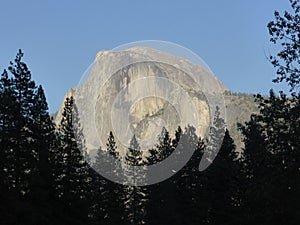 Scenic landscape featuring the rocky Halfdome mountain with a lush covering of tall trees photo