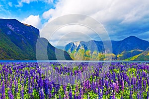 Scenic landscape of fjords in Norway