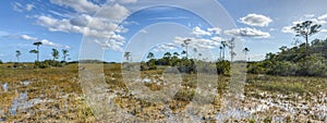 Scenic landscape Florida Everglades