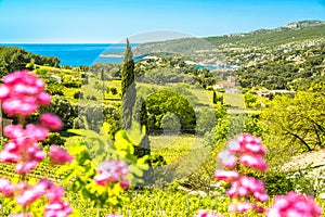 Scenic landscape of French riviera near Cassis view photo