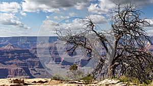 Scenic landscape of the Grand Canyon from the south rim