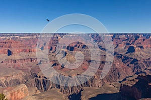 Scenic Grand Canyon South Rim