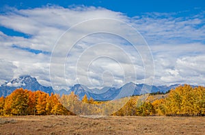 Scenic Landscape in the Grand Teton National Park in Autumn