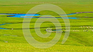 Scenic landscape of green fields with swirling rivers and cattle grazing during daytime