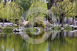 Huntington Botanical gardens in Pasadena, California photo