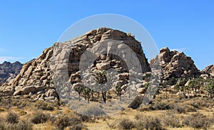 Scenic Landscape at Joshua Tree National Park in California