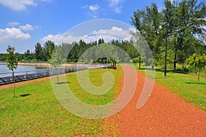 Scenic landscape of a nature walkway at Punggol