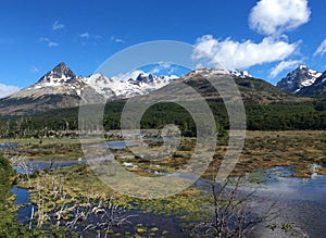 Scenic landscape near Ushuaia, Tierra del Fuego, Argentina