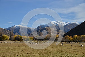 Scenic landscape, New Zealand