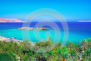 Scenic landscape of palm trees, turquoise water and tropical beach, Vai, Crete