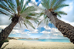 Scenic landscape of palm trees, turquoise water and tropical beach, Vai, Crete.
