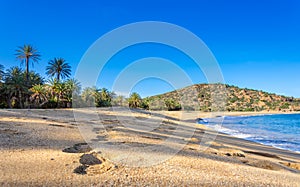 Scenic landscape of palm trees, turquoise water and tropical beach, Vai, Crete, Greece