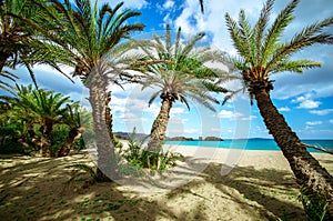 Scenic landscape of palm trees, turquoise water and tropical beach, Vai, Crete.