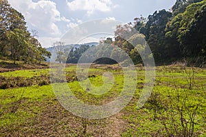 Scenic landscape of Periyar National Park, Thekkady, Kerala, India.