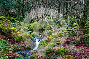 Scenic landscape photo taken in Lake District, England