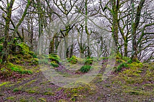 Scenic landscape photo taken in Lake District, England