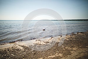 Scenic landscape of Presquile Provincial Park in Ontario, Canada