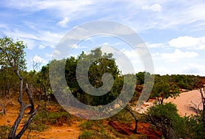 Scenic Landscape in Roebuck Bay, Broome, Western Australia. photo