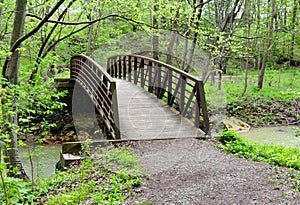 Scenic landscape of a rustic bridge on a forest pathway.