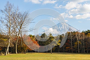 Scenic landscape of Saiko Wild Bird Forest Park with Fuji Mountain Background in Autumn, Saiko Lake, Japan