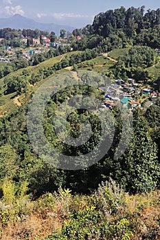 Scenic landscape of singamari tea garden and mountain village, offbeat place of darjeeling on himalayan foothills