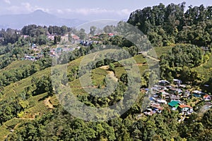 Scenic landscape of singamari tea garden and mountain village, offbeat place of darjeeling on himalayan foothills