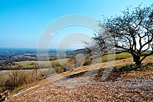 Scenic  Landscape from South Downs