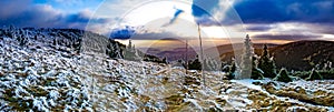 Scenic landscape with spruce trees covered with rime