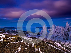 Scenic landscape with spruce trees and rock covered with rime