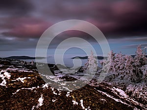 Scenic landscape with spruce trees and rock covered with rime