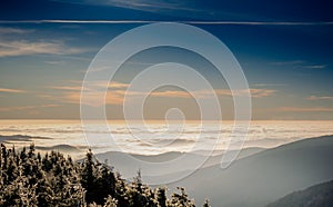 Scenic landscape with trees covered with rime