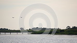 Scenic landscape with two pelicans flying above water