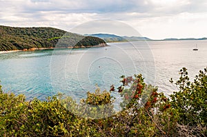 Scenic landscape view on Cala Violina beach and Tyrrhenian Sea bay surrounded by green forest in province of Grosseto in Tuscany