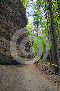 Scenic landscape view of hiking trail in the summer forest. Pathway to the Falcon's Nest and Pravcice Gate