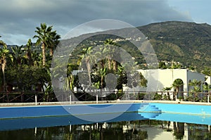 Scenic landscape view of large swimming pool and palm trees in the background. Marina di Patti