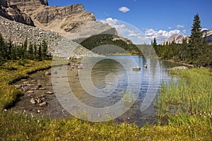 Moose Lake Alpine Landscape Summer Scenery Banff National Park Canadian Rocky Mountains