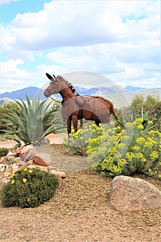 Scenic landscape view of Rio Verde, Maricopa County, Arizona