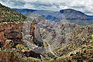 Salt River Canyon Wilderness Area, Tonto National Forest, Gila County, Arizona, United States