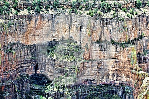 Salt River Canyon Wilderness Area, Tonto National Forest, Gila County, Arizona, United States