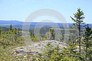 Scenic landscape view at Terra Nova National Park